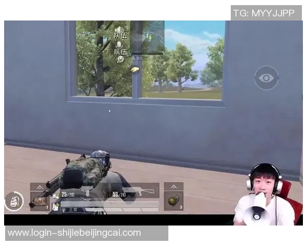世界杯新闻对话王秀英:探索和平精英背后的成长与挑战之路 世界杯新闻对话王秀英:探索和平精英背后的成长与挑战之路